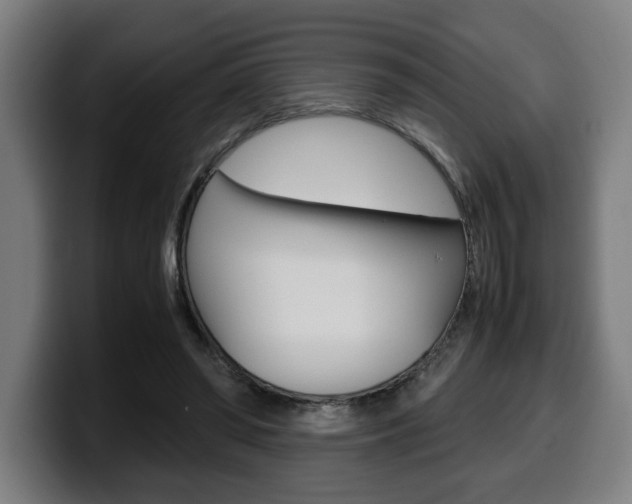 X0000099490398200805150932