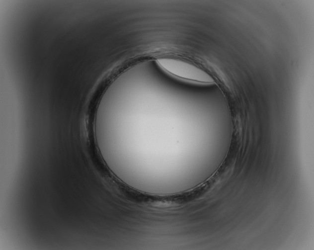 X0000099490400200805150932