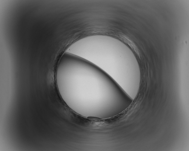 X0000099490401200805150932