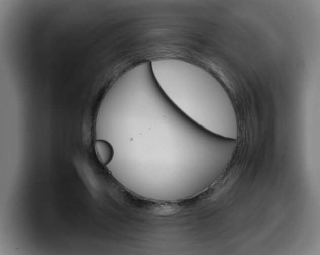 X0000099490402200805150932