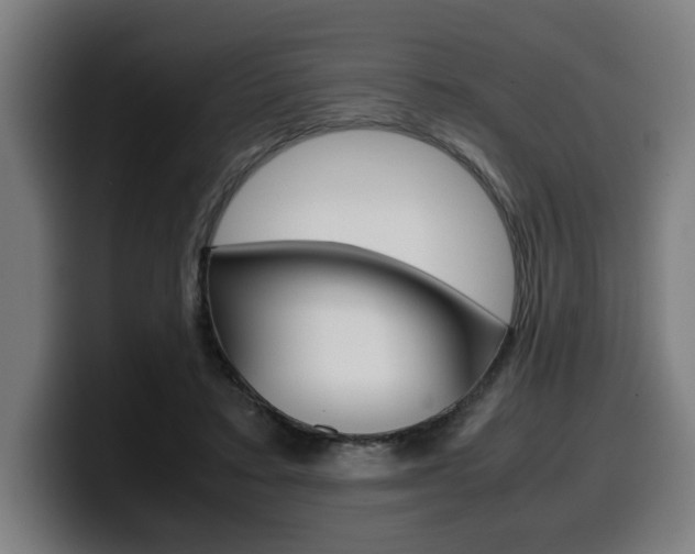 X0000099490403200805150932