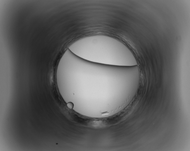 X0000099490406200805150932