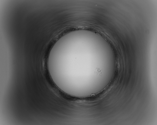 X0000099490408200805150932