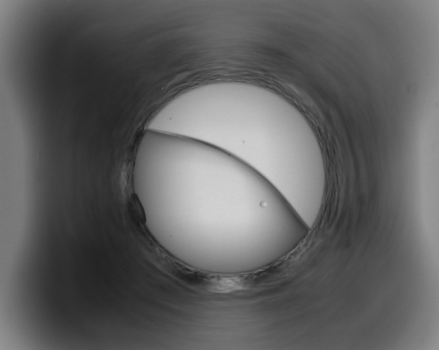 X0000099490409200805150932