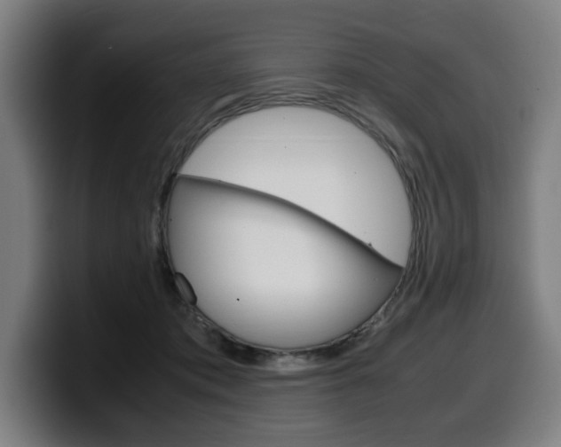 X0000099490413200805150932