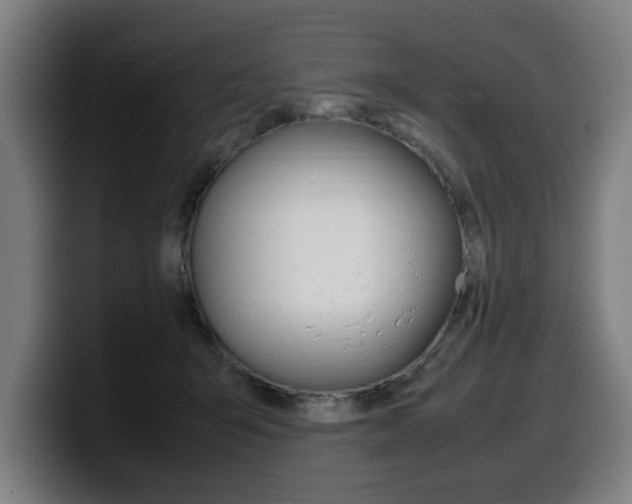 X0000099490415200805150932