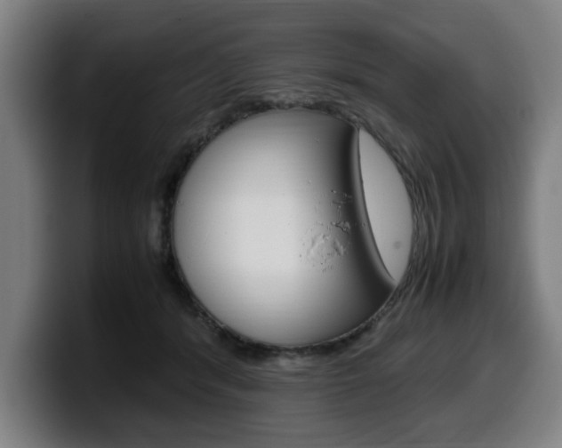 X0000099490416200805150932