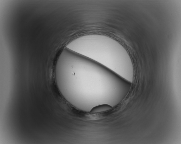 X0000099490417200805150932