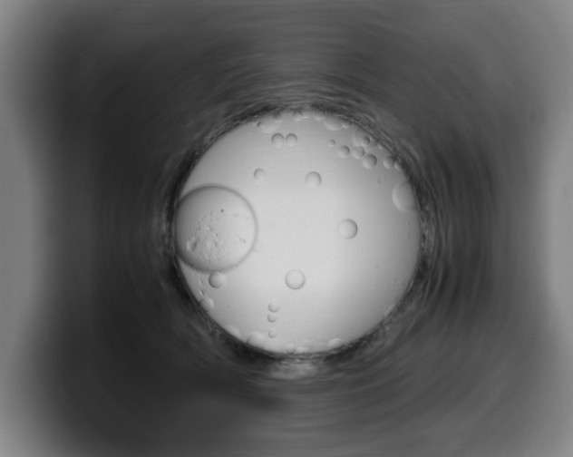 X0000099490418200805150932