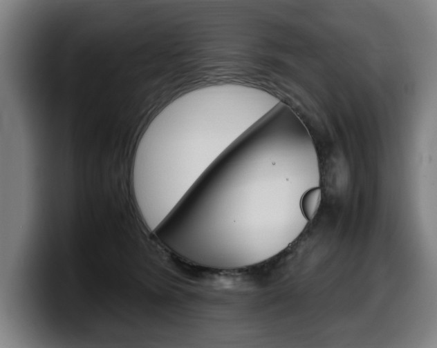 X0000099490420200805150932