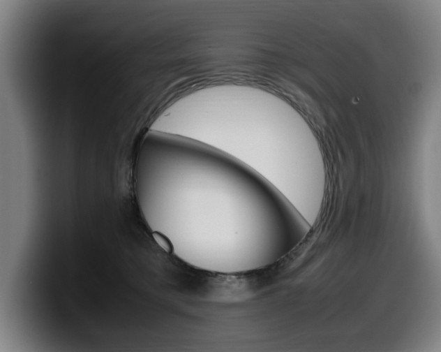 X0000099490421200805150932