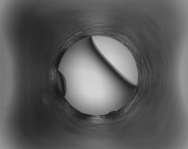 X0000099490425200805150932