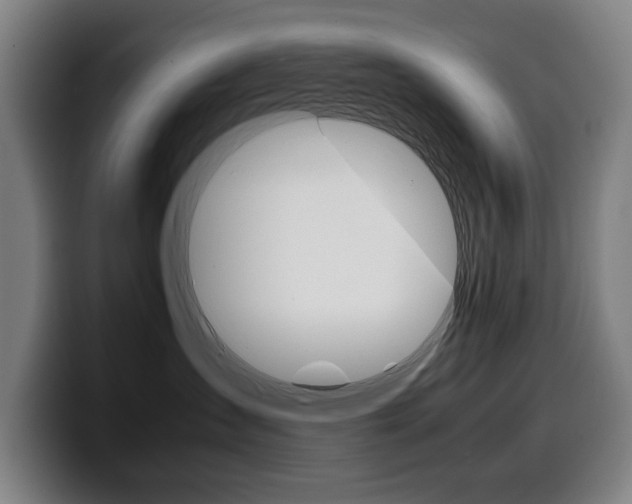 X0000099490431200805150932