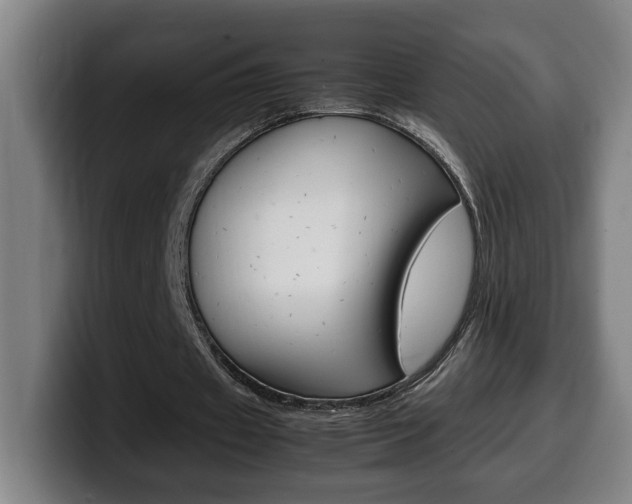 X0000099490433200805150931