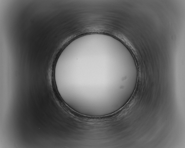 X0000099490434200805150931