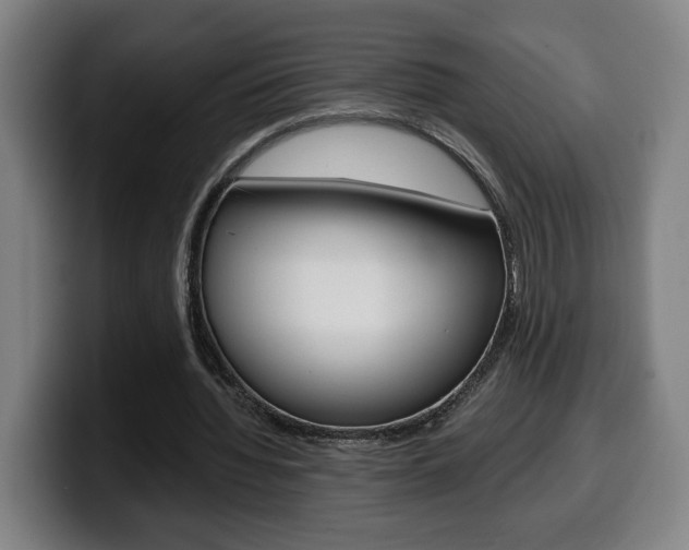 X0000099490436200805150931