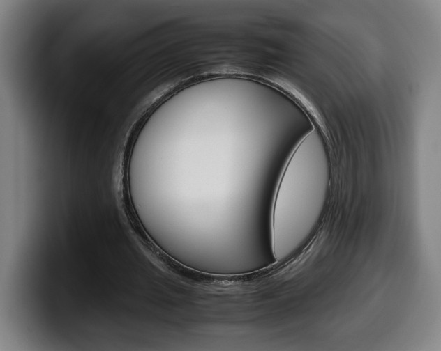 X0000099490437200805150931