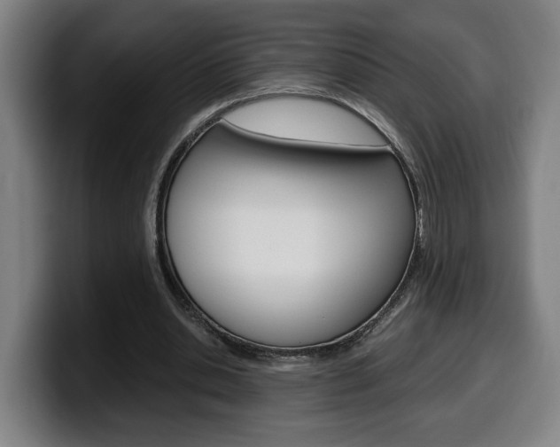 X0000099490438200805150931
