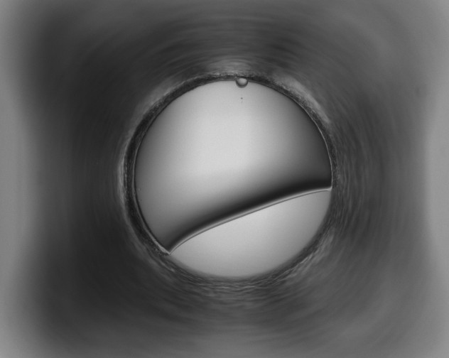 X0000099490439200805150931