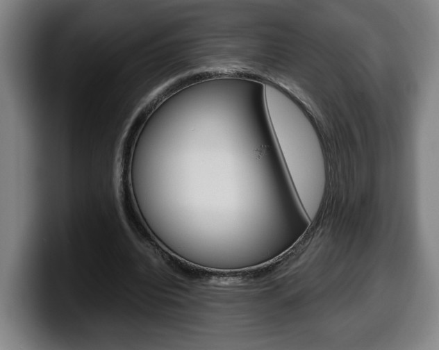 X0000099490440200805150931