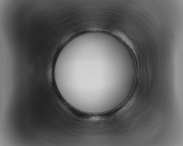 X0000099490441200805150931