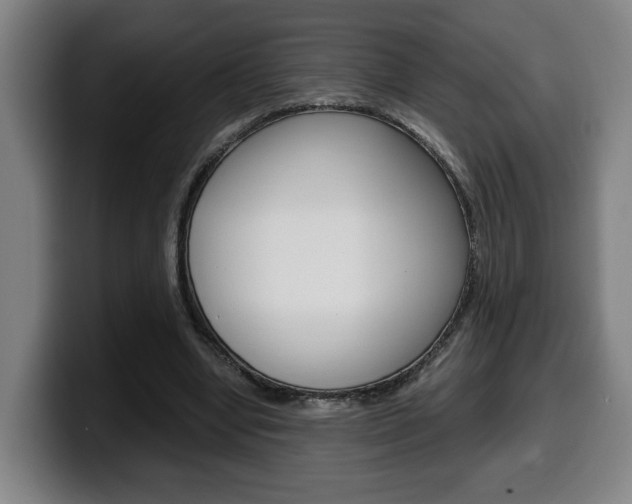 X0000099490442200805150931