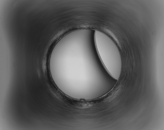 X0000099490443200805150931