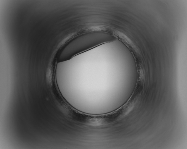 X0000099490444200805150931