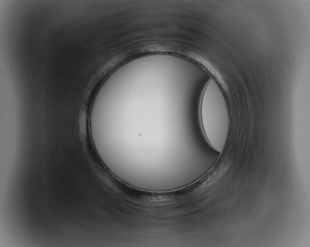 X0000099490445200805150931