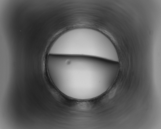 X0000099490446200805150931