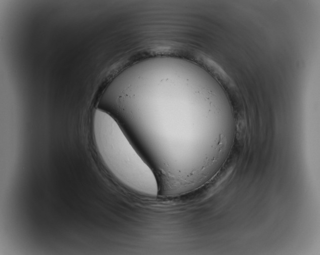 X0000099490454200805150931