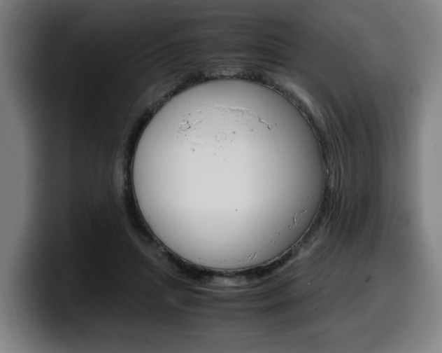X0000099490455200805150931