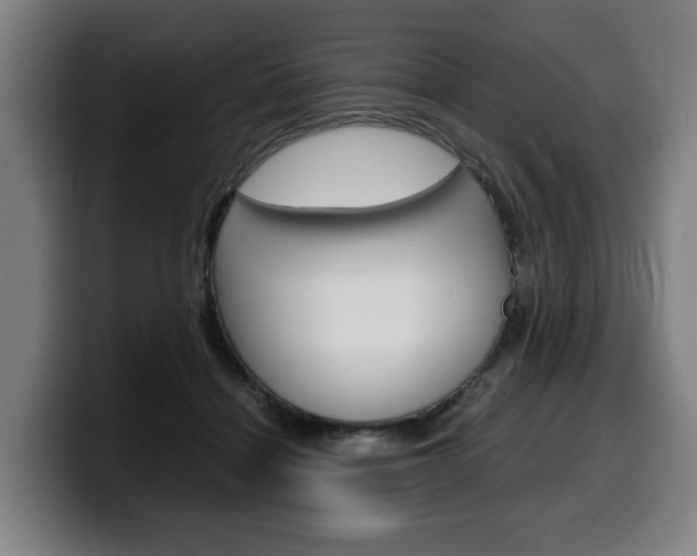 X0000099490460200805150931