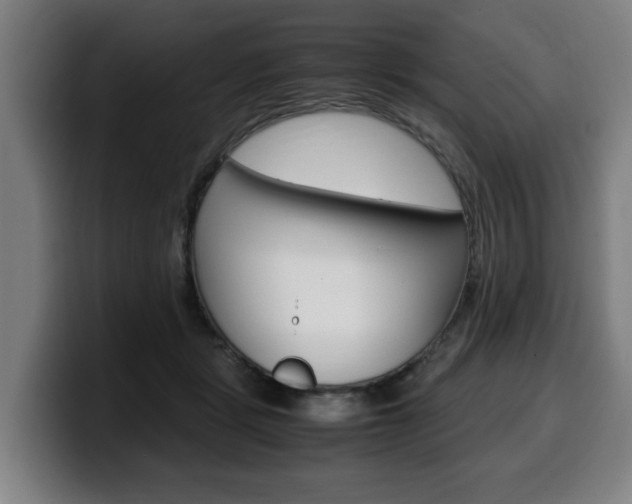 X0000099490461200805150932