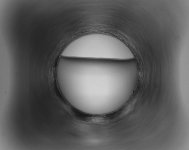 X0000099490462200805150932