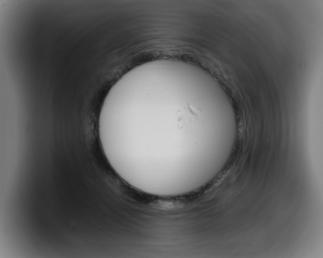 X0000099490464200805150932