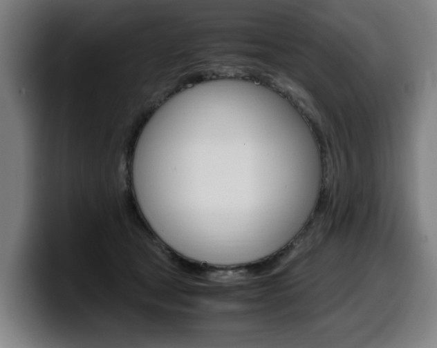 X0000099490465200805150932