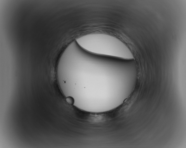 X0000099490469200805150932