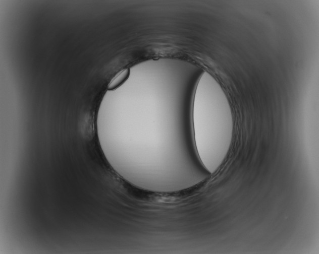 X0000099490471200805150932