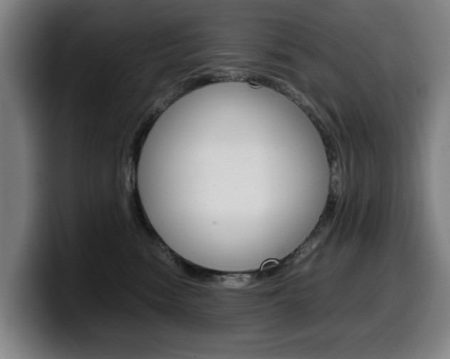 X0000099490474200805150932
