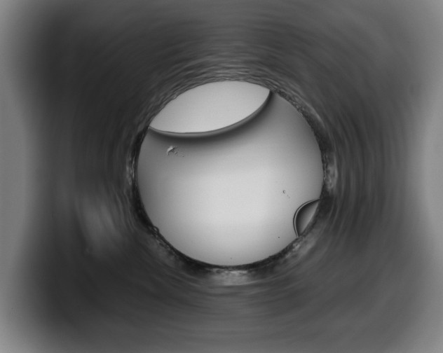 X0000099490476200805150932