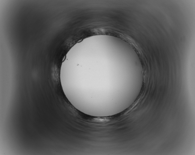 X0000099490477200805150932