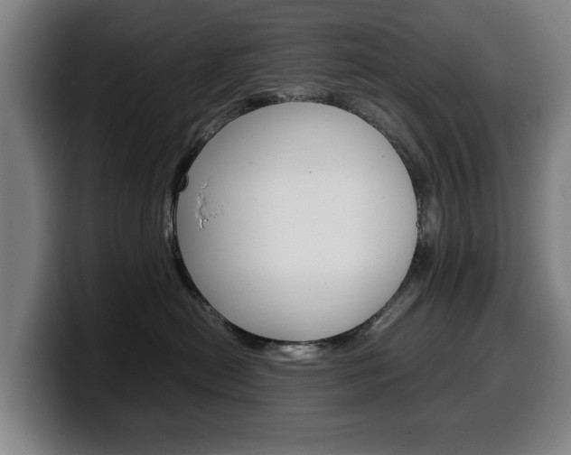 X0000099490478200805150932