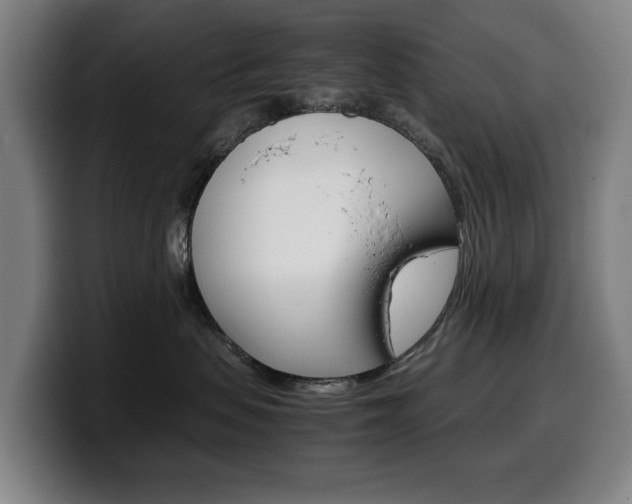 X0000099490479200805150932