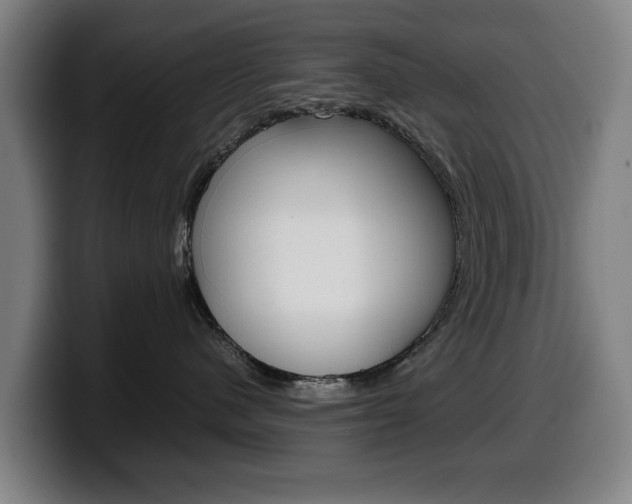 X0000099490480200805150932