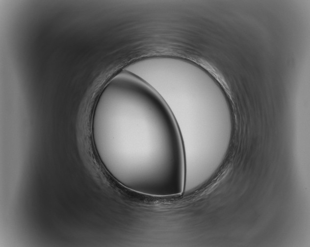 X0000099490481200805150931