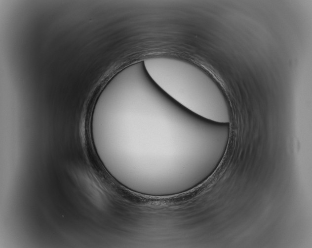 X0000099490482200805150931