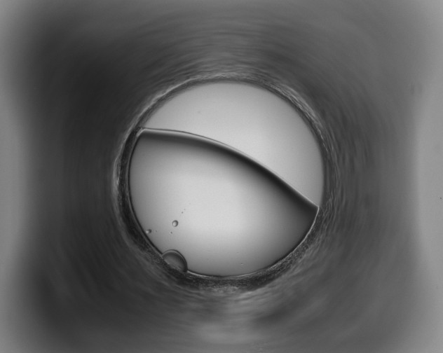 X0000099490483200805150931