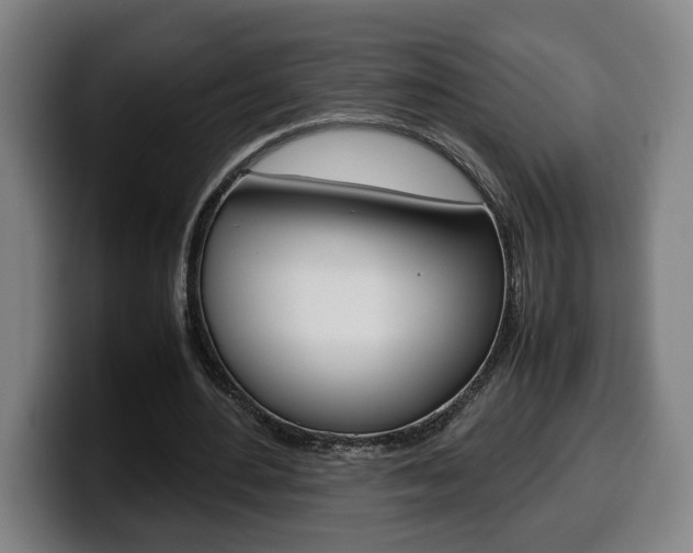 X0000099490484200805150931
