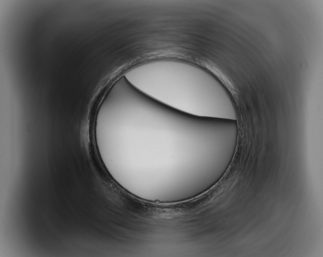 X0000099490486200805150931